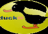 Duck Tv Hd